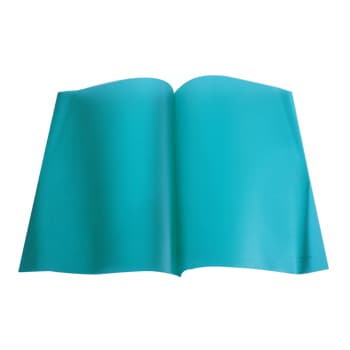 Classificador Capa Transparente Verde Durable 2919 1un