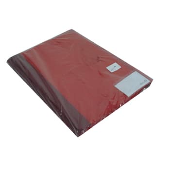 Classificador Capa Transparente Vermelho 10un