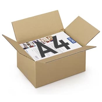 Caixa Cartão Simples 312x225x152mm (0,0106m3)- 25un