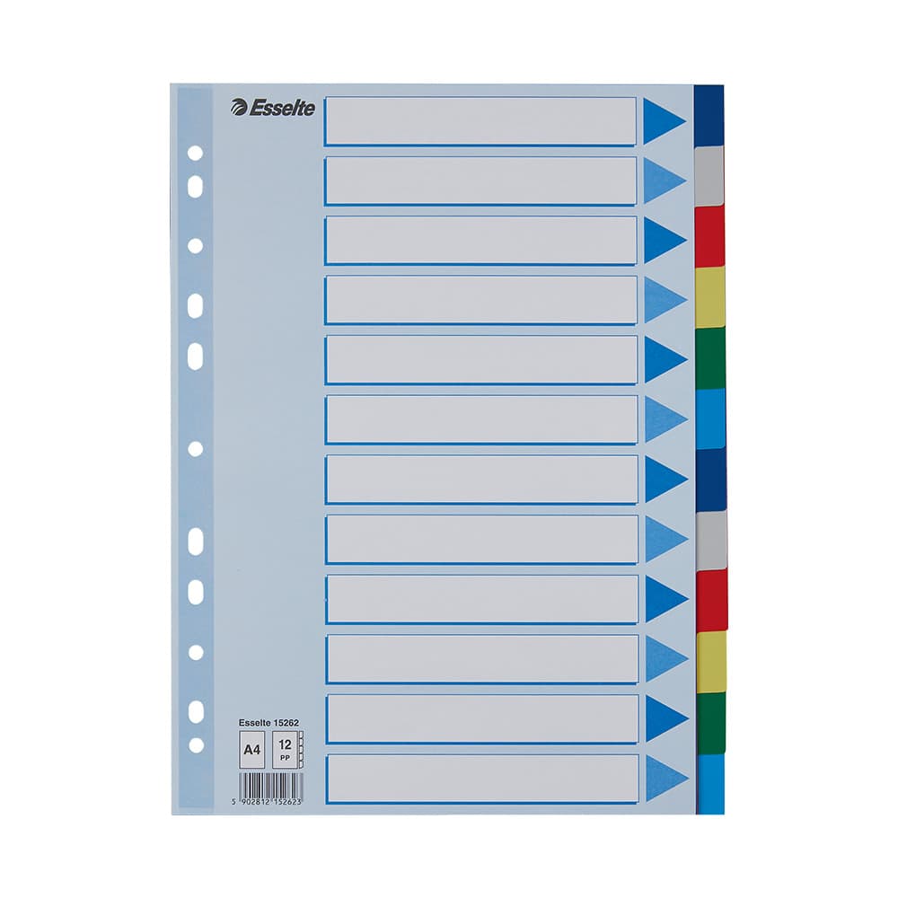 Separadores A4 Polipropileno Cores Sortidas 12 Pestanas