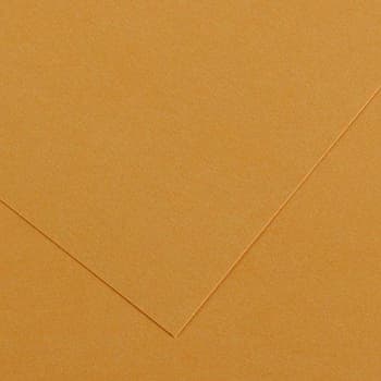 Cartolina 50x65cm Couro 185g 1 Folha Canson