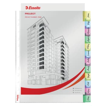 Bolsas Catálogo A4 085mic com Separadores 12un