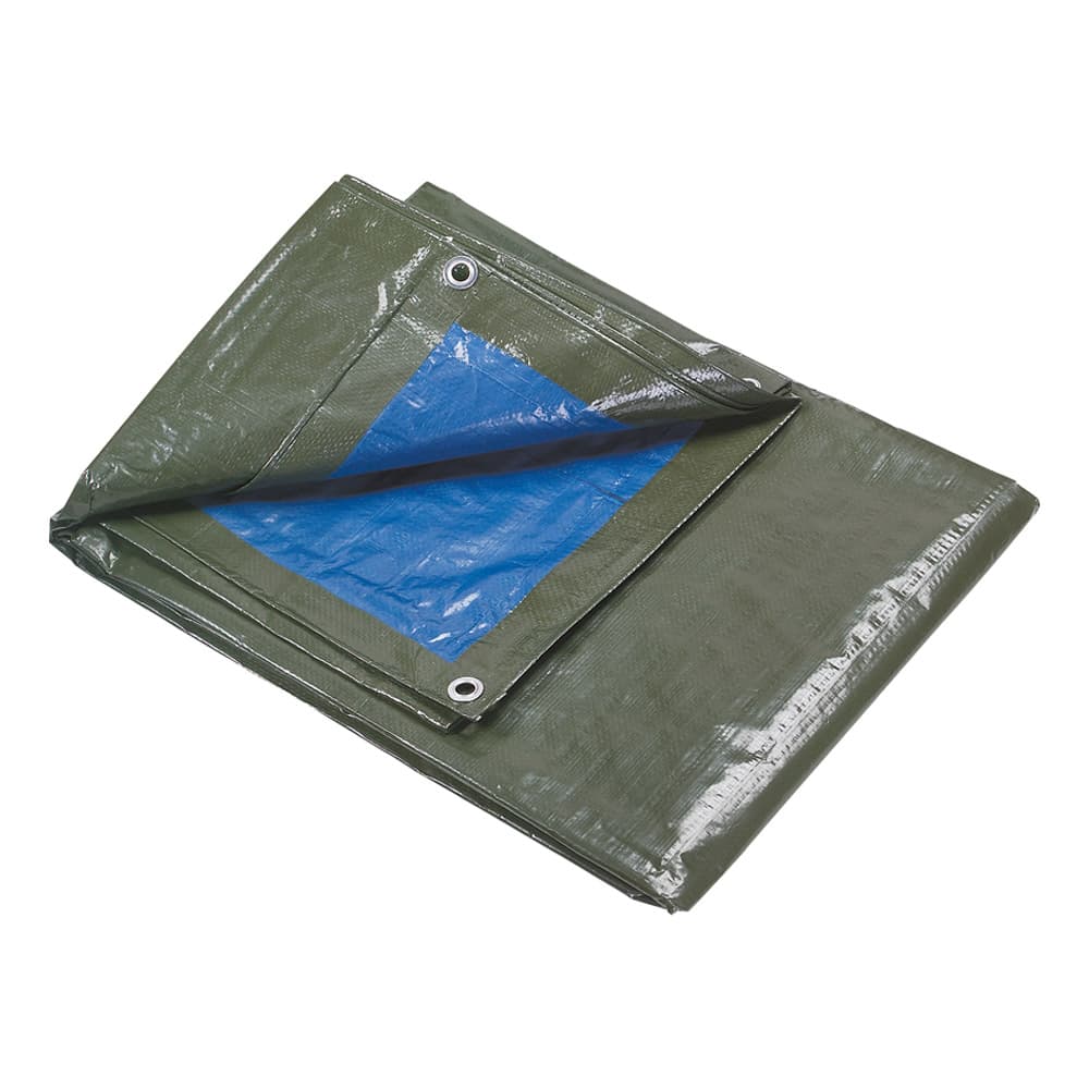 Lona Multiusos 4x6m Azul Royal e Verde