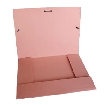 Pasta Cartolina A4 350gr Abas/Elásticos Salmão