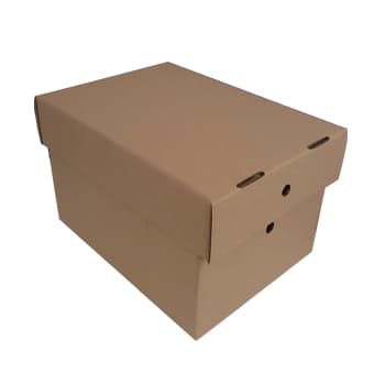 Caixa Arquivo com Tampa 306x226x197mm 25un