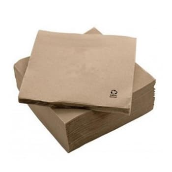 Guardanapos 33x33 2Fls Reciclados Nature P&P 50un