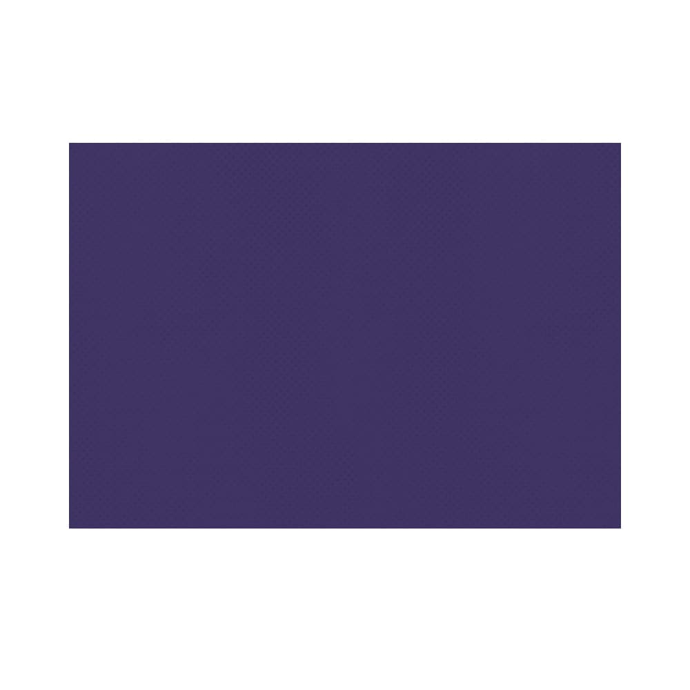 Toalhas Mesa TNT 30x40cm 55g Azul 250un