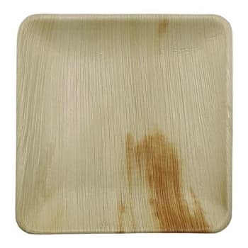 Pratos 20x20cm Folha de Palma Quadrados 25un