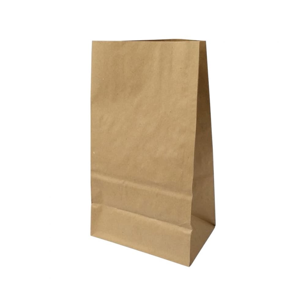Saco sem Asas 18x12x32,5cm Papel Kraft 070g 1un