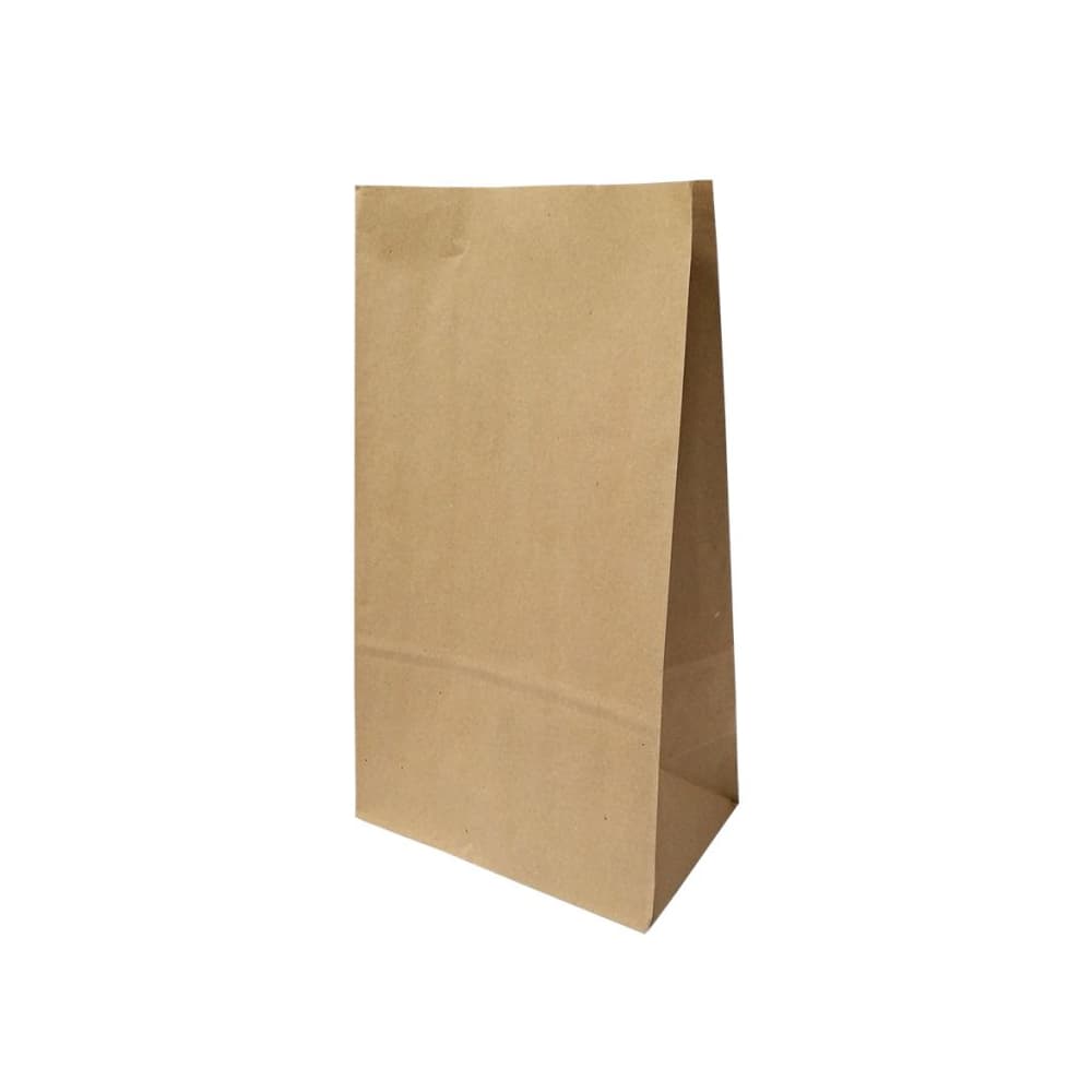 Saco sem Asas 20x12x37,5cm Papel Kraft 070g 1un