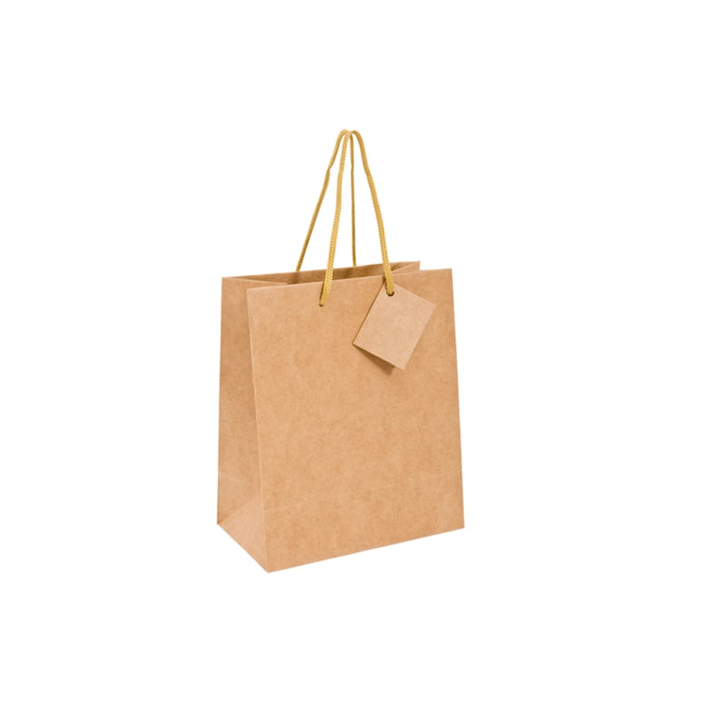 Saco 19x10x27cm Papel 120g c/Asas Cordão Kraft 10un