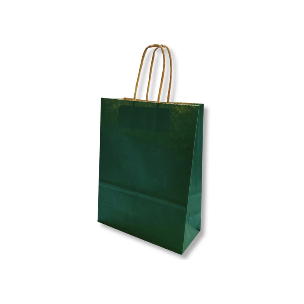 Saco 24x10x32cm Papel 100g c/Asas Verde Escuro 1un