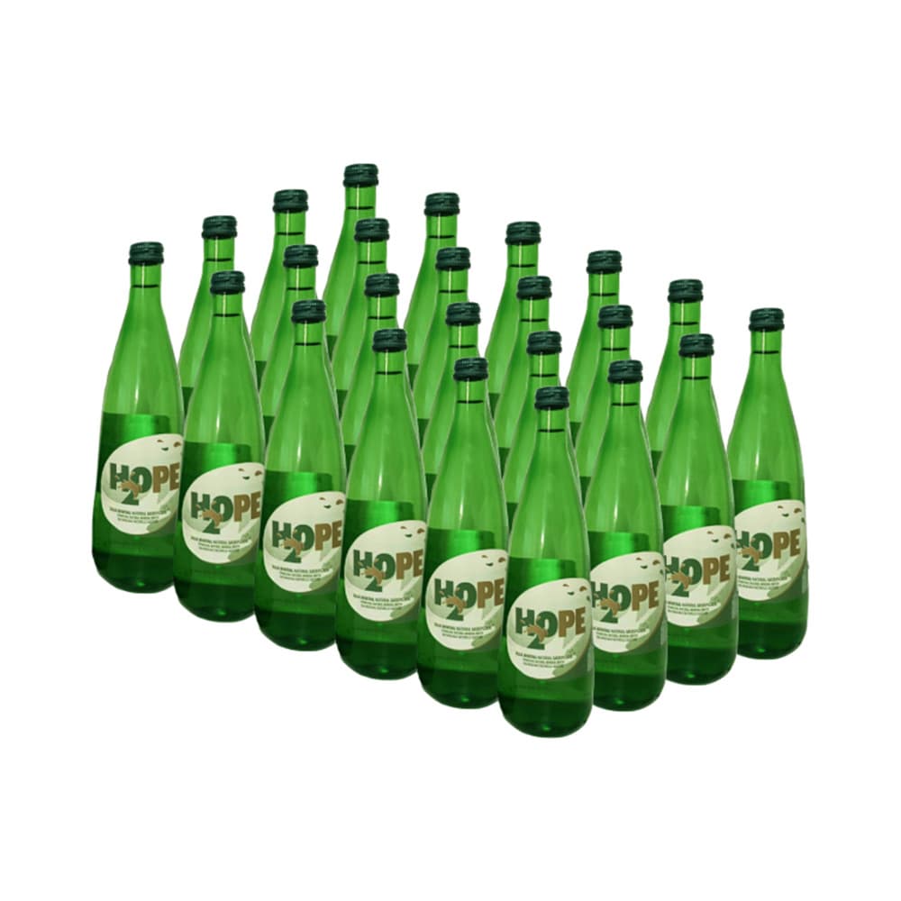 Água com Gás H2OPE 0,25L Pack 24un