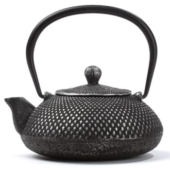 Bule Ferro Fundido com Filtro STEPPES 0.4L Prata Polida