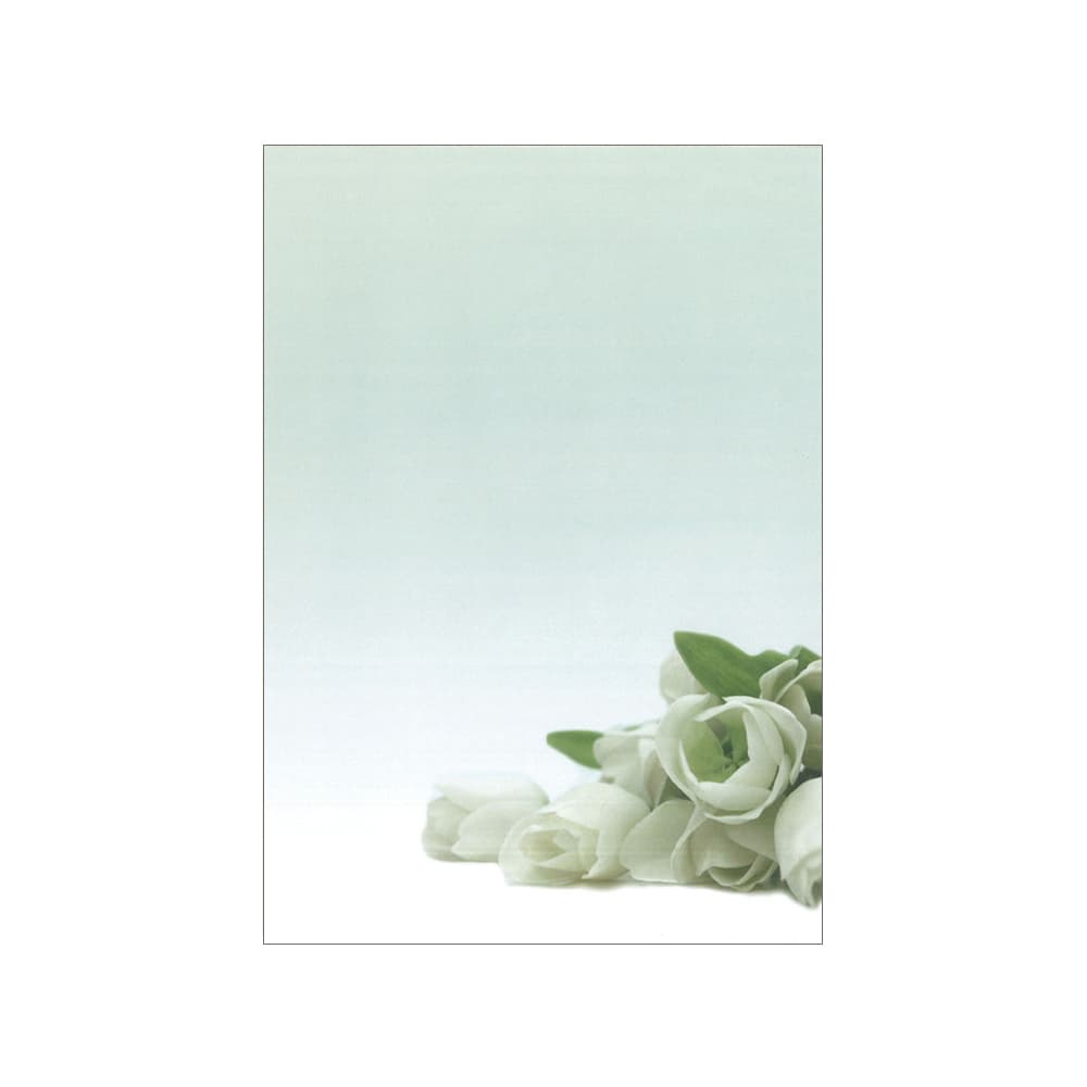 Papel Temático Flor Branca A4 90g 20 Folhas