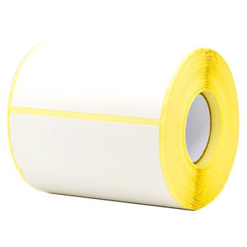 Etiquetas Térmicas Protegidas 102x152mm Rolo 8un